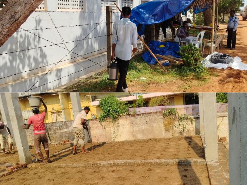 Pest Control Gallery 2